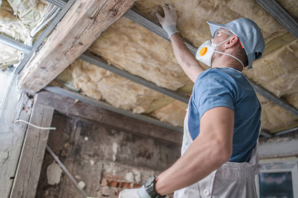 Best DIY Insulation Kits and Guidance in Walnut, CA