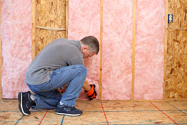 Best Eco-Friendly Insulation in Walnut, CA