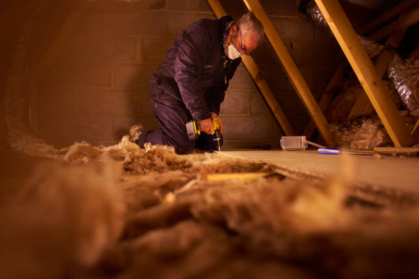 Best Specialized Insulation Services in Walnut, CA