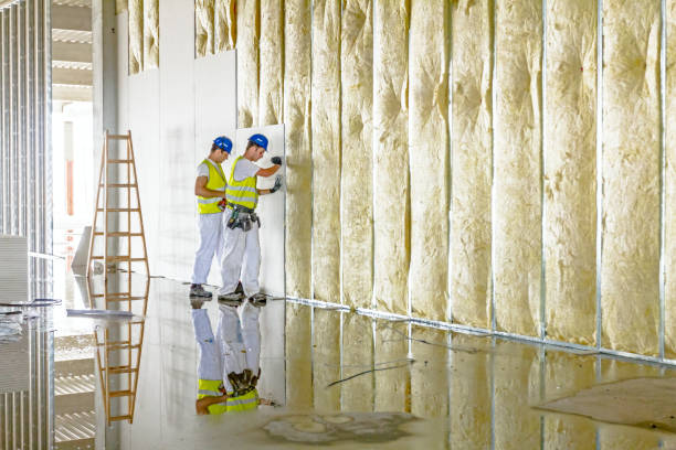 Best Commercial Insulation in Walnut, CA
